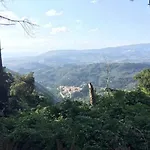 Grandinetti