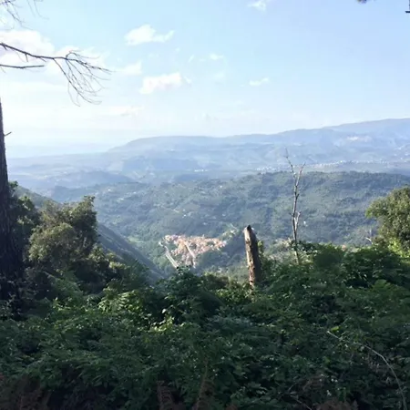 Grandinetti