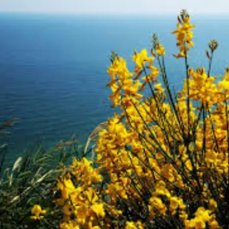 Grandinetti B&B 노세라 테리네세