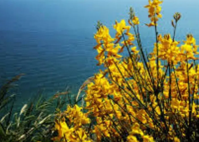 Grandinetti ベッド・アンド・ブレックファスト ノチェーラ・テリネーゼ